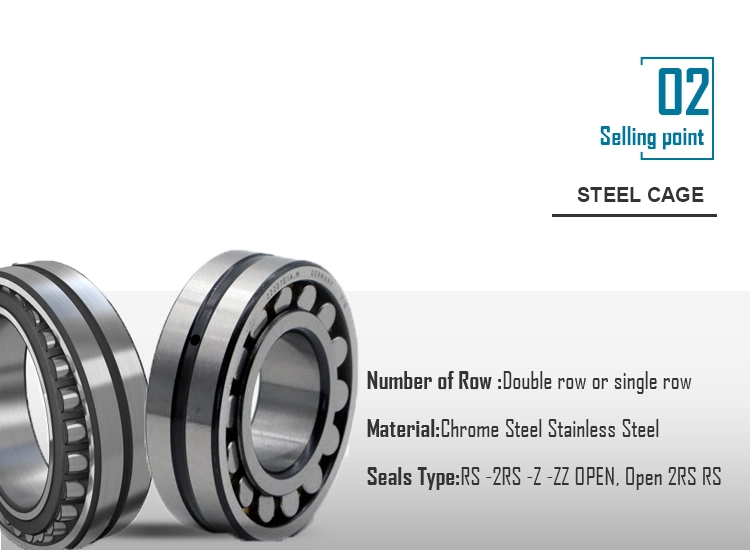 Self-Aligning Ball Bearing 1309 Double Row Stainless Steel Ball Bearing